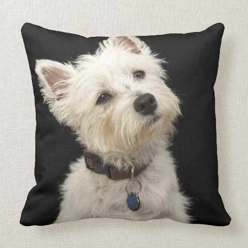 westie dog pillows