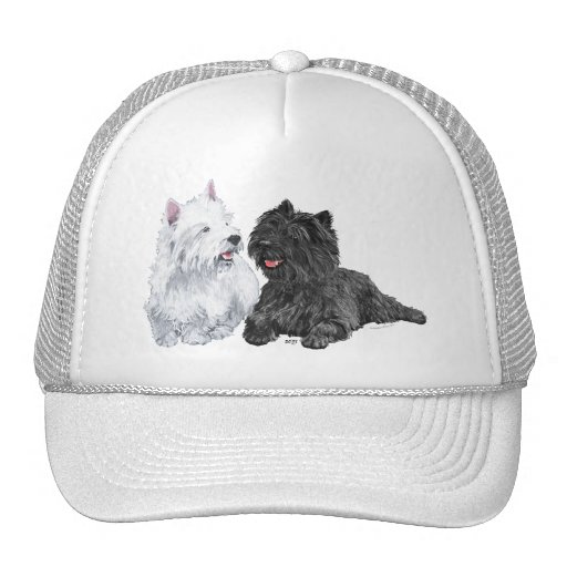 Westie with a Black Cairn Terrier Hats