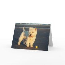Westies and the Ocean Card