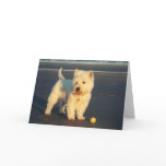 Westies and the Ocean cards