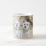 Westies en una playa con muchas palmas tazas