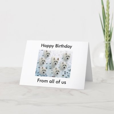 http://rlv.zcache.com/westies_in_snow_happy_birthday_from_all_of_uss_card-p137615502918416756bflbv_400.jpg