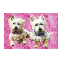 Westies Wall Canvas. Gallery Wrap Canvas