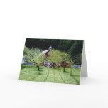 Westside Barn Card