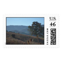Westwind Website '05 025 Stamp