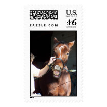 Westwind Website '05 099 postage