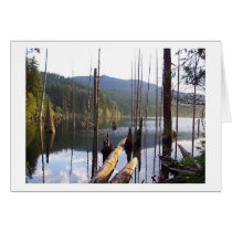 Westwood Lake cards by cleverocity Westwood Lake cards