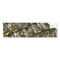 Wet Alligator Back Abstract Photograph Bumper Stickers
