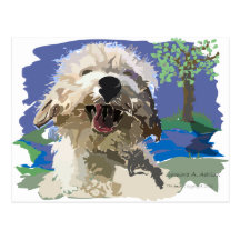 Wet and Happy Post Card