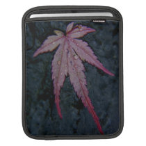 Wet autmn acer leaf on slate ipad sleeves