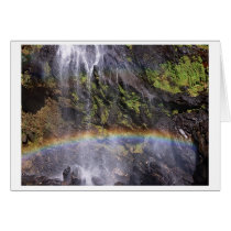 wet canvas cards by blacqbook wet canvas cards