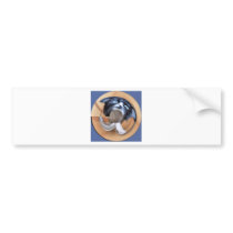 Wet Cat Bumper Sticker