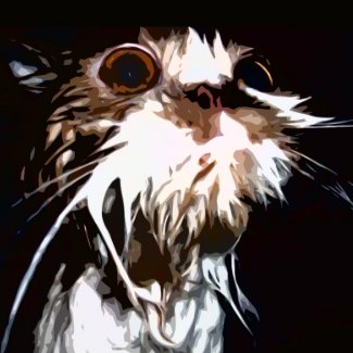 Wet Cat = Mad Cat button