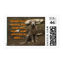 Wet Dog postage