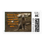Wet Dog Stamps