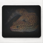 Wet Gecko With Tongue Out Mousepad