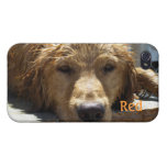 Wet Golden Lab Cases For iPhone 4