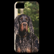 Wet Gordon Setter iPhone 5 Case casemate cases