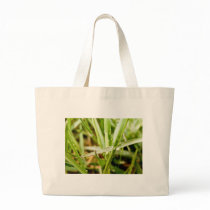 Wet Grass bags