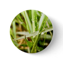 Wet Grass buttons