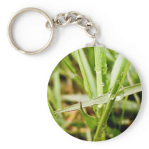 Wet Grass keychains