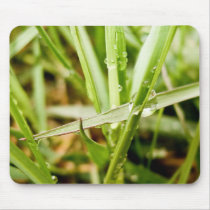 Wet Grass mousepads