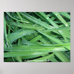 Wet Grass print