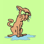 wet kitty t-shirts