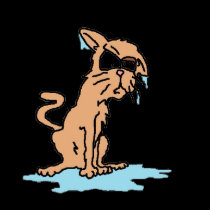 wet kitty t-shirts