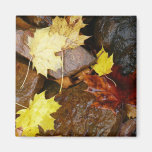 Wet Leaves and Rocks Magnet