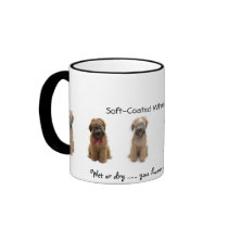 Wet or Dry .... I'm cute. mugs
