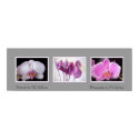 Wet Paint -- Tropicals  by TDGallery posters