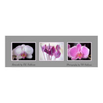 Wet Paint -- Tropicals by TDGallery posters by tdgallery Wet Paint -- Tropicals by TDGallery posters