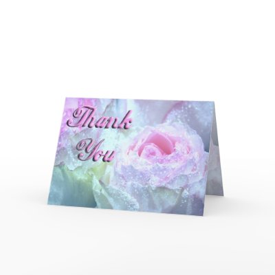pink roses for you 