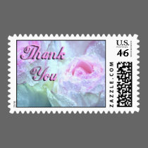 Wet Pastel Pink Roses, Thank You postage