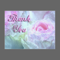 Wet Pastel Pink Roses, Thank You postcards