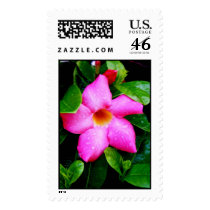 Wet Pink Flower postage by princessklb07 Wet Pink Flower postage