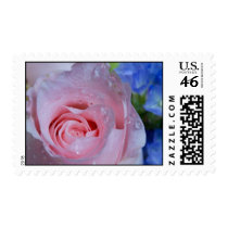 Wet Pink Rose postage