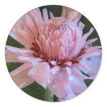 Wet Pink Torch Ginger Wedding Envelope Seals stickers by naturalilly Wet Pink Torch Ginger Wedding Envelope Seals stickers