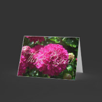 Wet Purple Mums Thank You Card cards