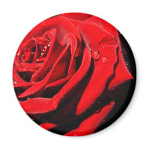 Wet Red Rose Fridge Magnet