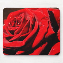 Wet Red Rose Mousepad