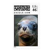 Wet Seal Postage Stamp