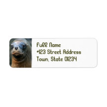 Wet Seal Return Address Mailing Label