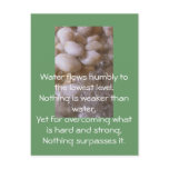 Wet Stones Post Card