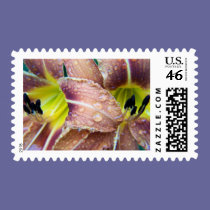 wet tiger lily stamps
