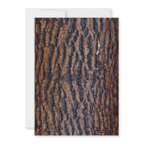 Wet tree bark invites