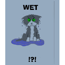 WET t-shirts