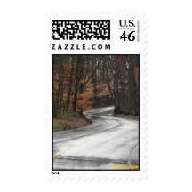 Wet Winding Road Stamps