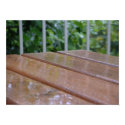 Wet Wood posters